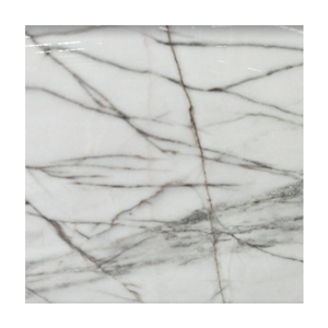 Polished White Marble Tiles with Dark Grey Veins