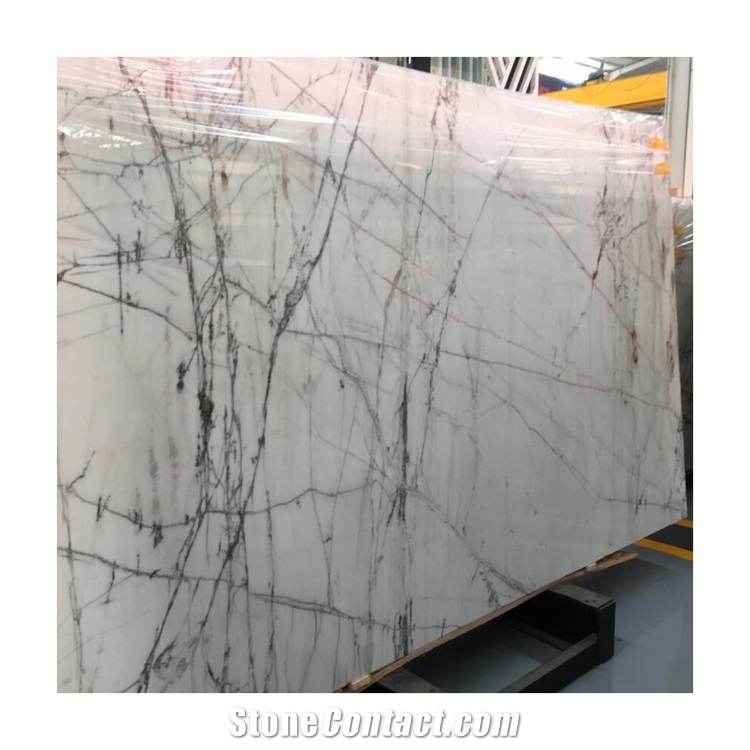 Turkey Melbourne White Marble Slabs from China