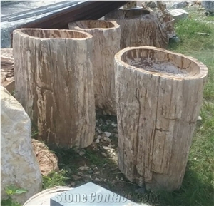 Petrified Wood Pedestal Wash Basin