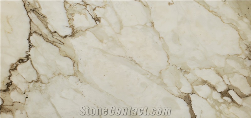 Calacatta Cremo Polished Marble Slab