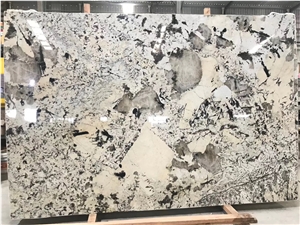 Brazil Pandora White Granite Slab / Floor Tiles