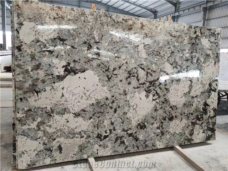 Brazil Pandora White Granite Slab / Floor Tiles