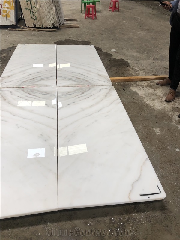 Designer White Marble Slabs, Dalati White Marble Slabs & Tiles from