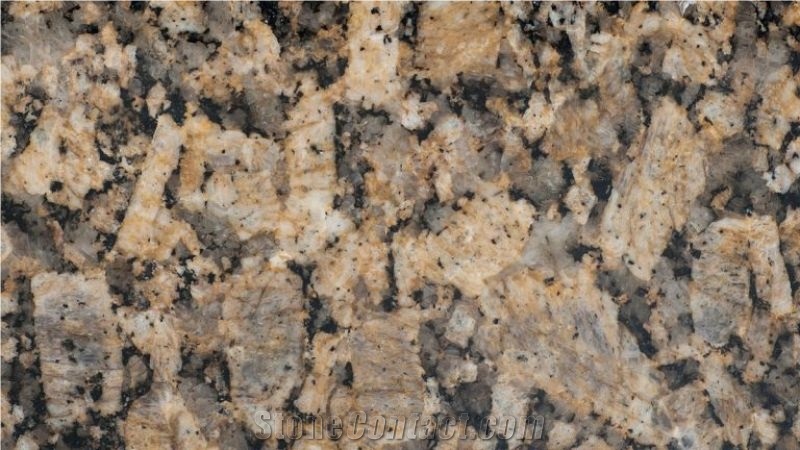 Amarelo Florenca Granite Slab,Exotic Granite Slabs