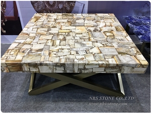 Square Cutting Natural Fossil Petrified Wood Table