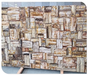Square Cutting Natural Fossil Petrified Wood Table