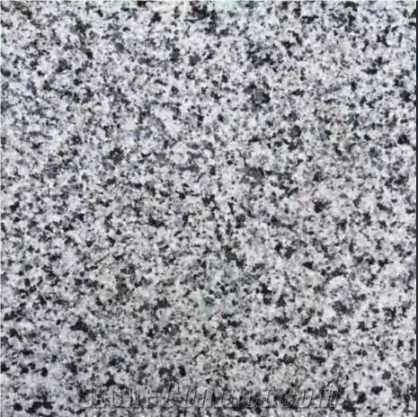 New G654 Sesame Grey Granite Floor Tiles