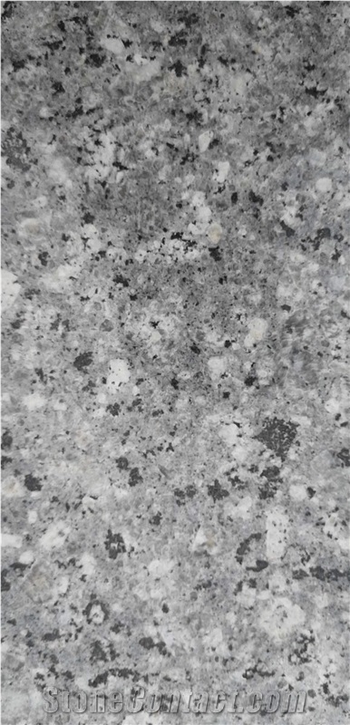 New Zealand Grey Granite Slab, Floor Tiles