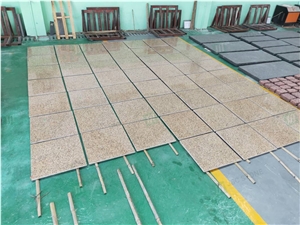 Vietnam Rust Granite Yellow Stone Floor Tiles