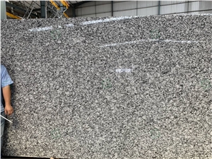 Wholesale White Granite Slabs Spray White Granite