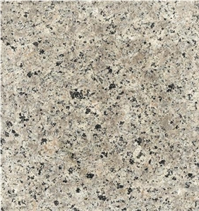 Iran Gray Granite Tile