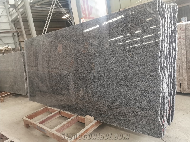Dark Grey Granite New G654 Big Slabs
