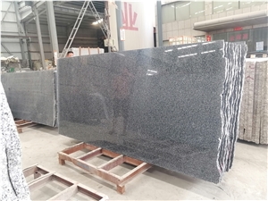 Dark Grey Granite New G654 Big Slabs