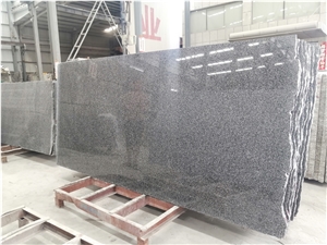 G654 Hainan China Granite Polished Big Slab