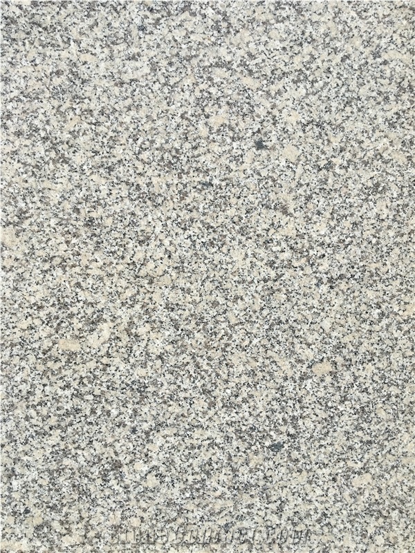 High-Quality Light Grey Granite G602 Slabs