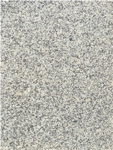 High-Quality Light Grey Granite G602 Slabs