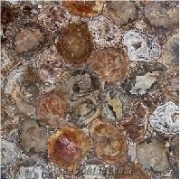 Semiprecious Stone, Wood Fossils (Round)