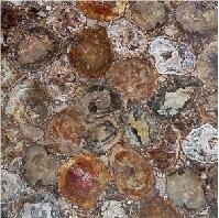 Semiprecious Stone, Wood Fossils (Round)