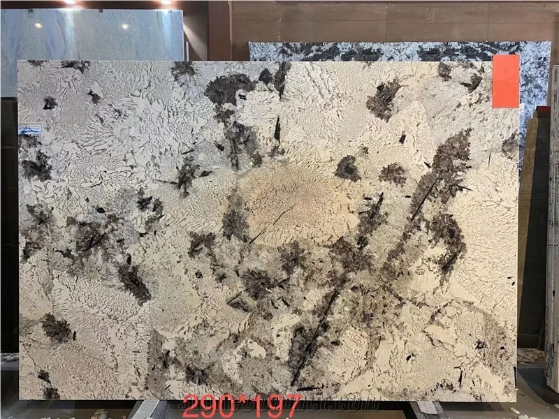 Silver Fox Granite Slab Tiles for Walling Flooring