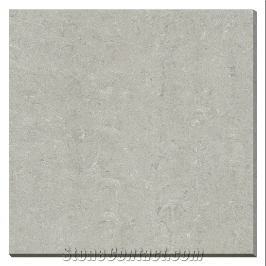 China Grey Ceramic Tile Honed Wall Covering
