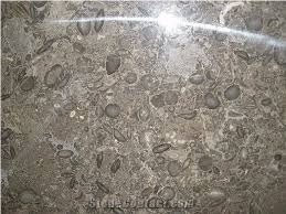 Fossil Dark Gray Limestone Slabs Flooring
