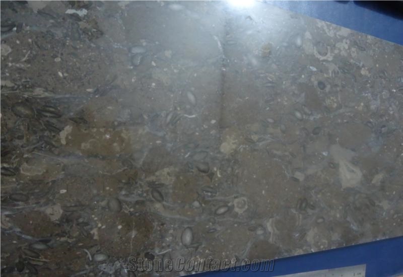 Oceanic Marble from Pakistan, Oceanic Marble
