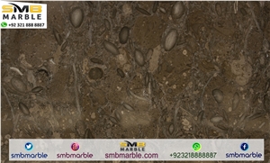 Popular Brown Fossil Marble 2015