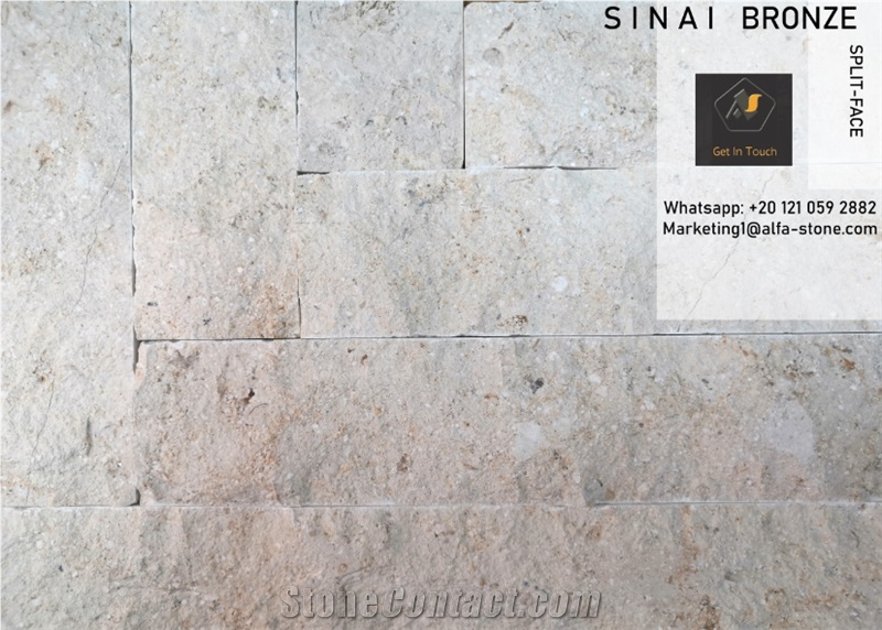 Sinai Bronze