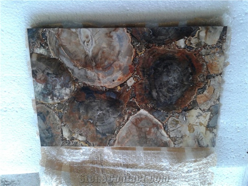 Petrified Wood Semiprecious Stone Slabs