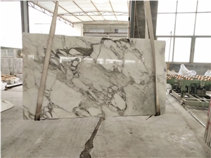 Arabescato Carrara Bianco Wall Stone Tile Slab