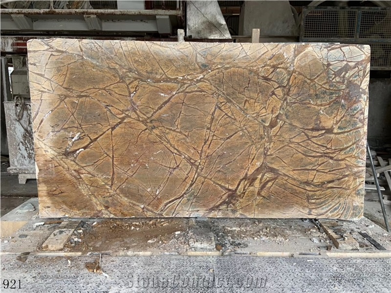 Bidasar Brown Marble Root Fossil Beauty Gold