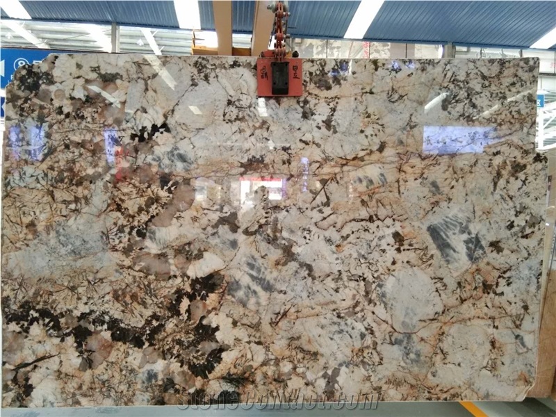 Butterfly Golden Yellow Granite Polished Slabs