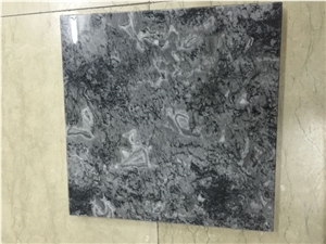 High Glossy Cheap Ocean Star Marble Slab Tile