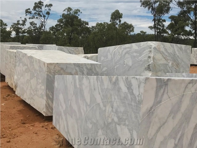 Arabescato Austral Marble,Australia White Marble Blocks
