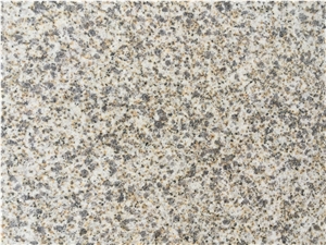 Cheap Beige Granite for Floor Tiles Wall Tiles