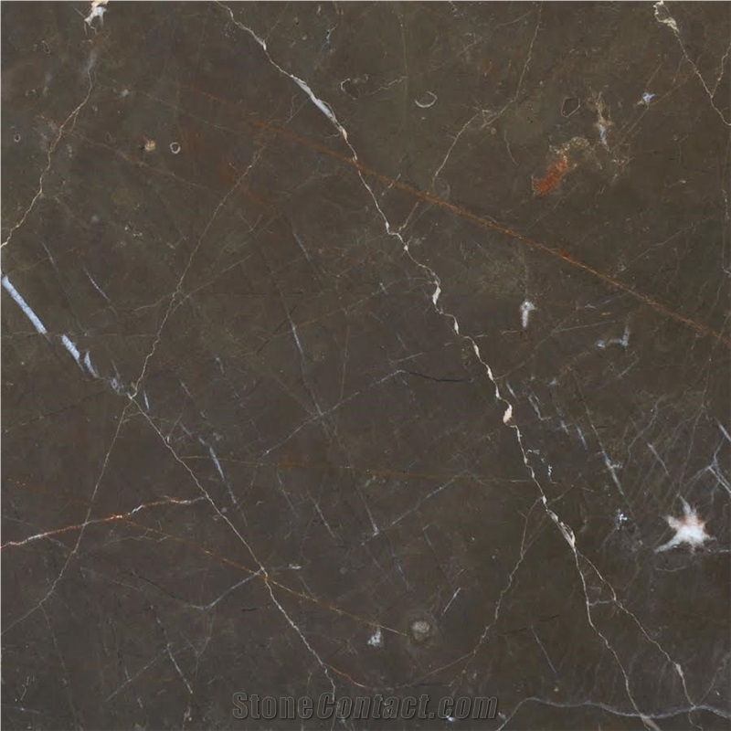 Armani - Olive Grey Marble Tiles