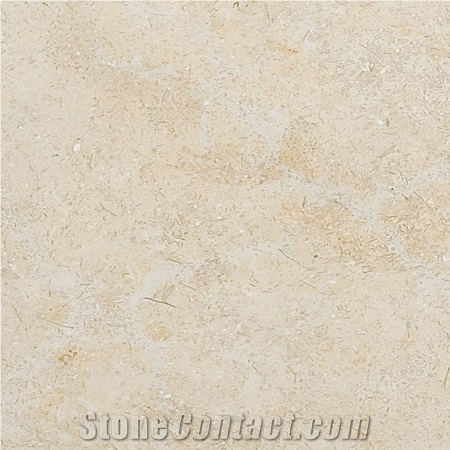 Seashell Limestone Tiles & Slabs, Beige Limestone