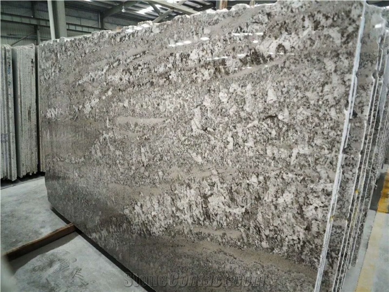Bianco Classic Antico Granite Slabs Wall Floor