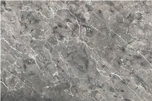 Eurasian Grey Marble Stone