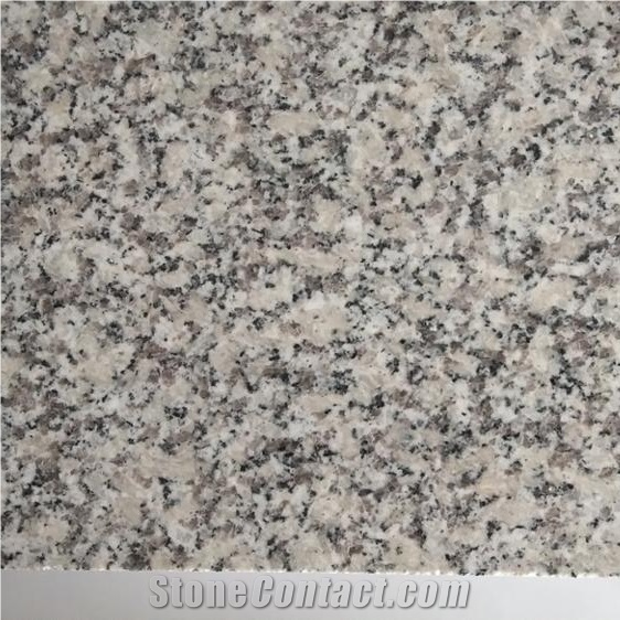 Polished Hubei Bianco Sardo New G602 Granite