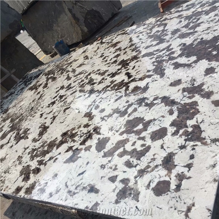 Polished Silver Fox Granite Flooring Application