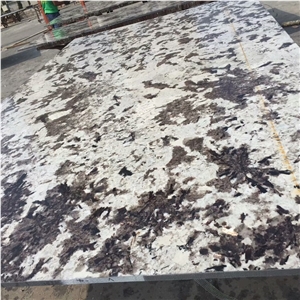 Polished Silver Fox Granite Flooring Application