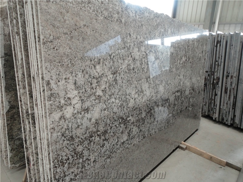 Polished Wall Covering Bianco Argento Granite