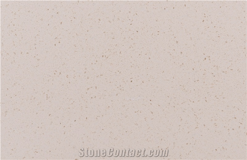 Monochrome Quartz Stone Countertop