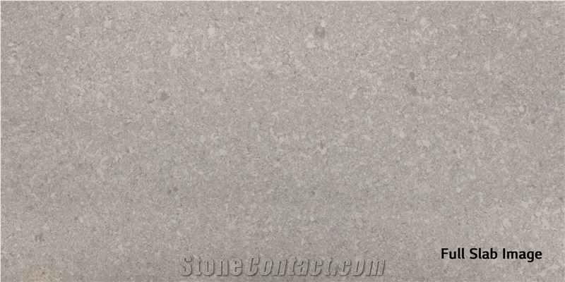 Nimbus Gray Quartz Stone Slab