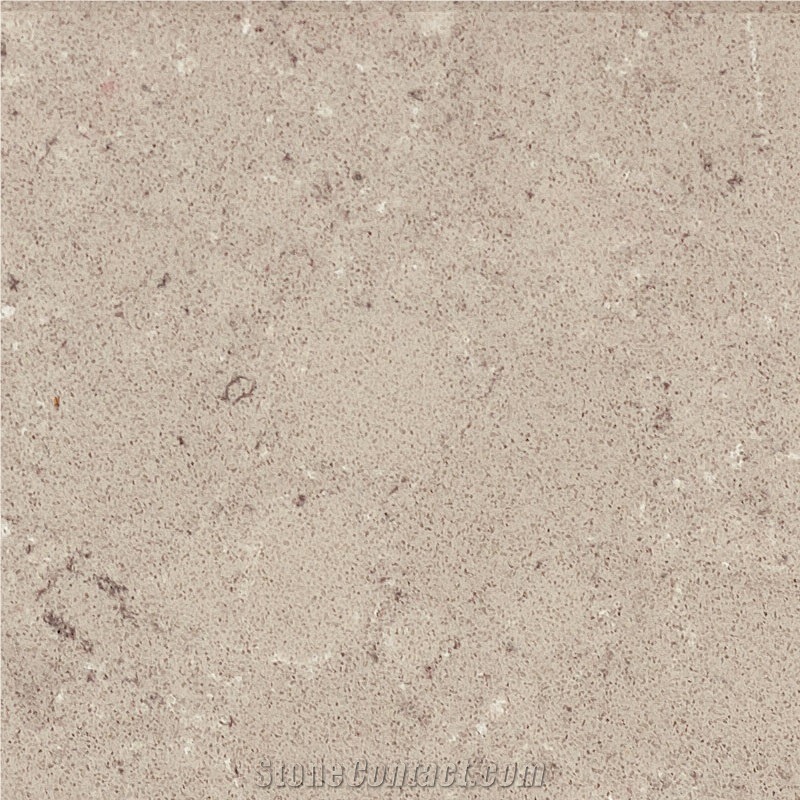 Shitake Pattern Quartz Stone Slab