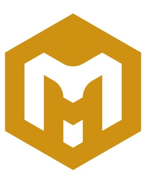 MHS Trading and Investment Joint Stock Company