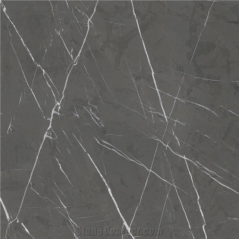 Persian Pietra Grey Marble Slab Top Quality