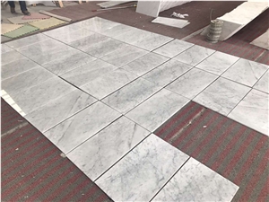 Bianco Carrara White Marble Slab Floor Wall Tiles