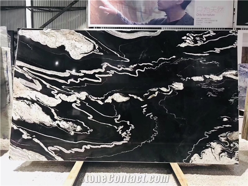 Black and White Quartzite Slab Floor Tiles